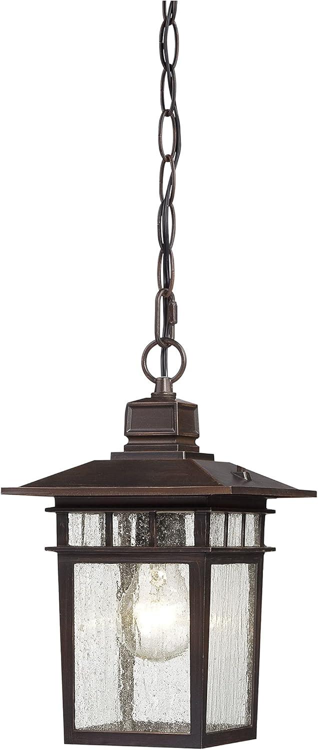 Nuvo 60-4955 - Cove Neck - 1 Light - 12" Outdoor Hang W/ Clear Seed Glass