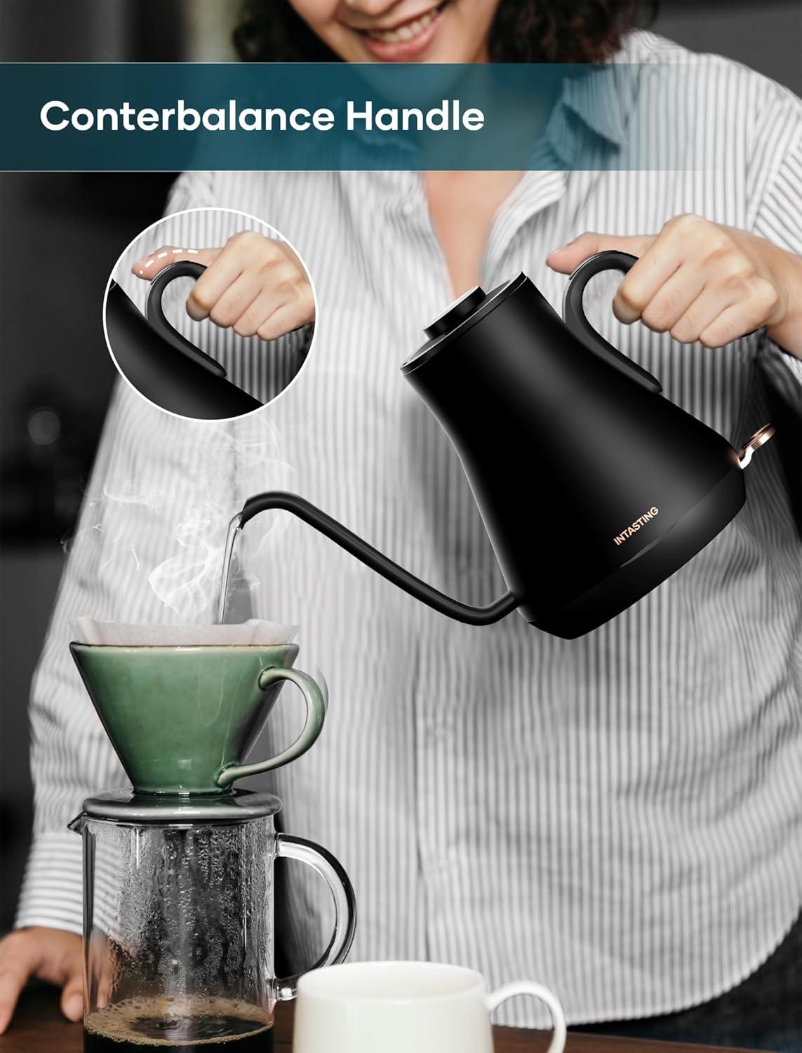 Matte Black Stainless Steel Gooseneck Electric Kettle