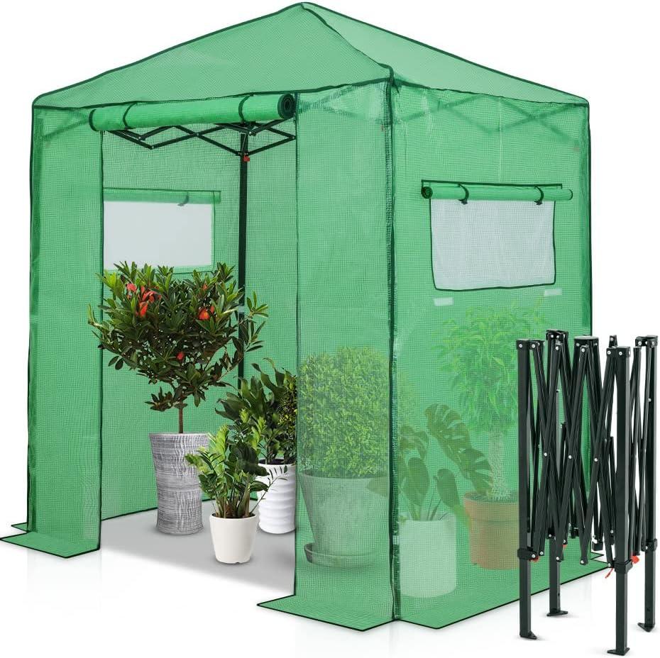 Eagle Peak 8x6 Green Pop-Up Walk-In Greenhouse with PE Cover