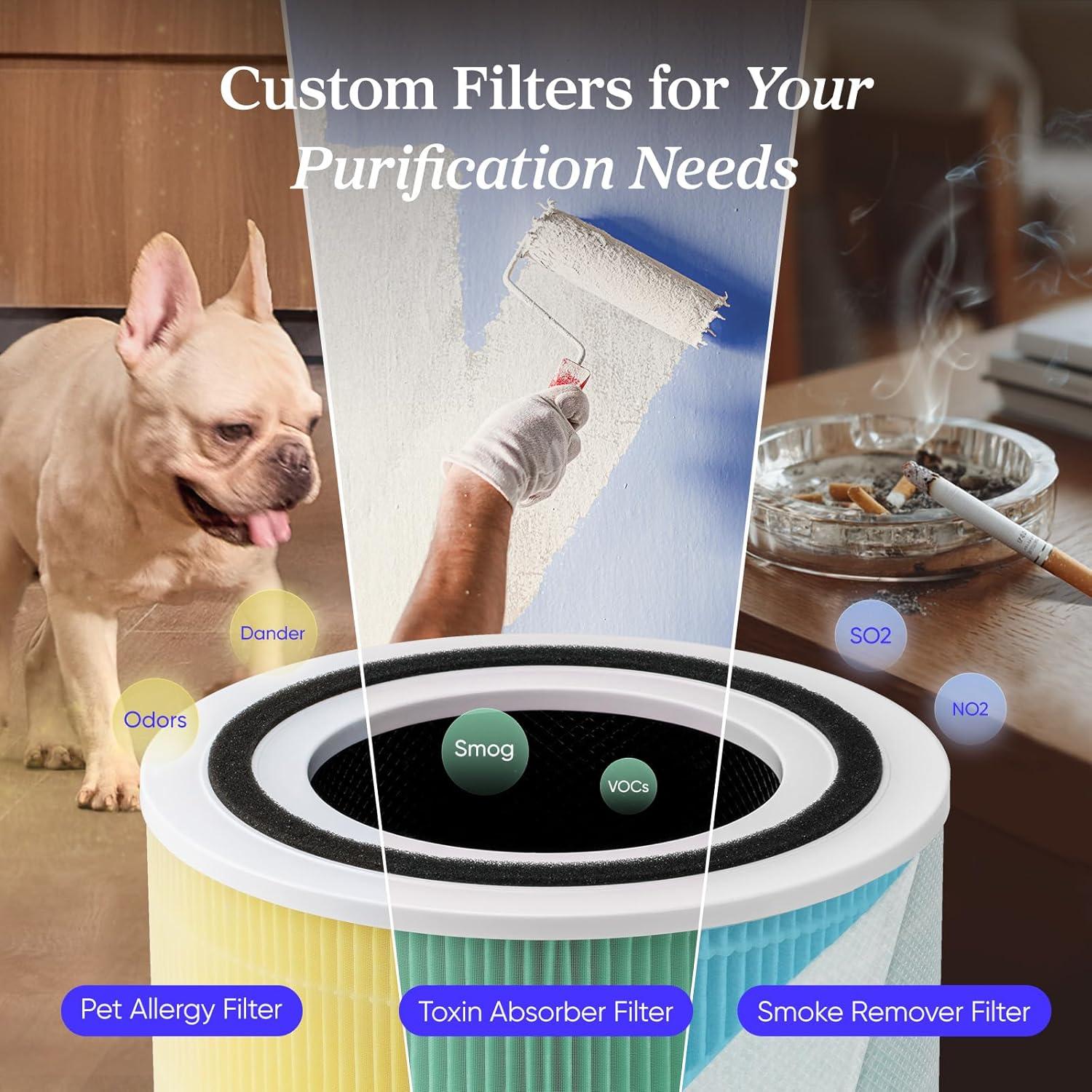 Black HEPA Ionic Odor Absorbing Air Purifier