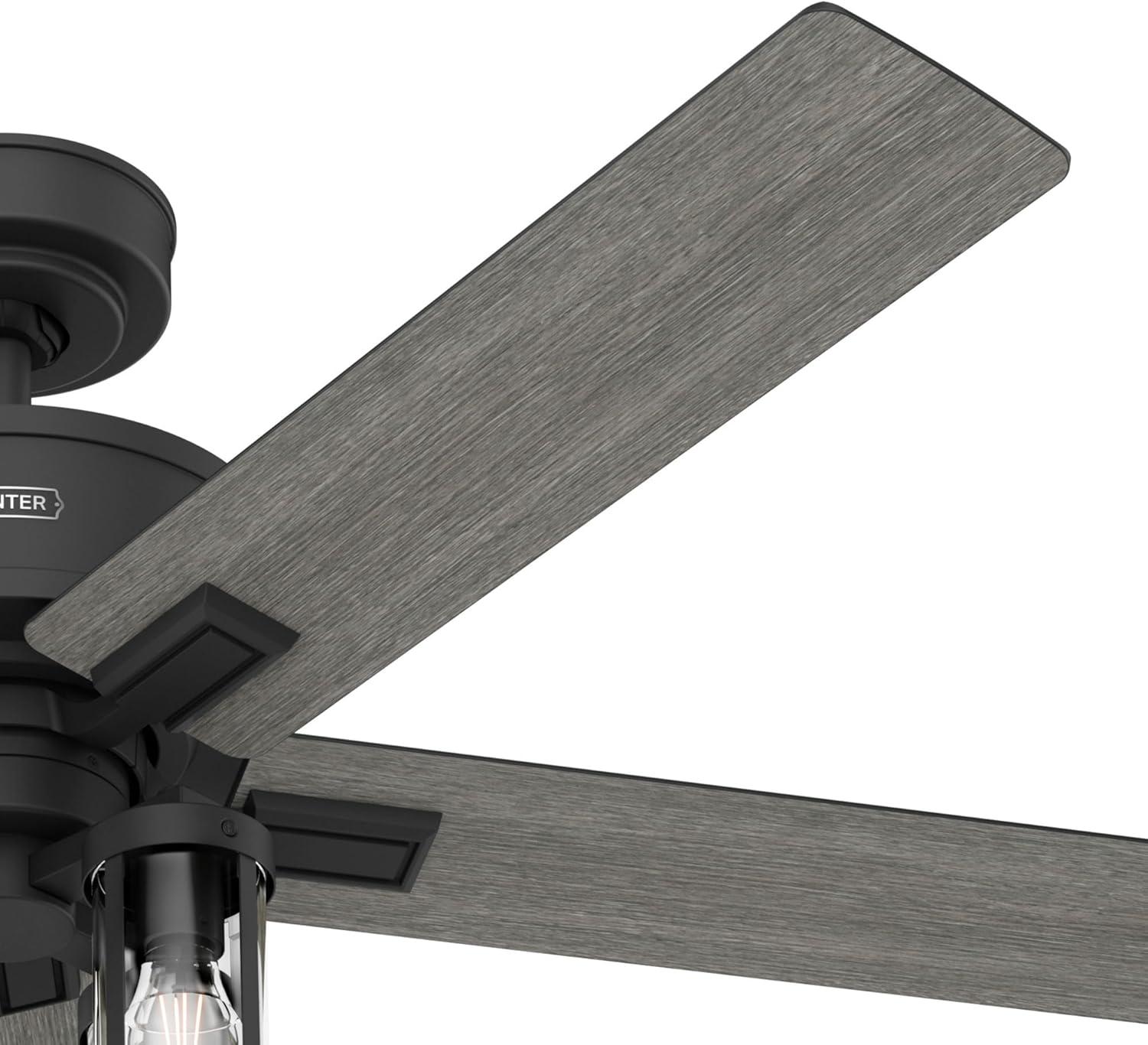 Hunter Fan Hunter 52 inch Astwood II Ceiling Fan with Lights and Remote