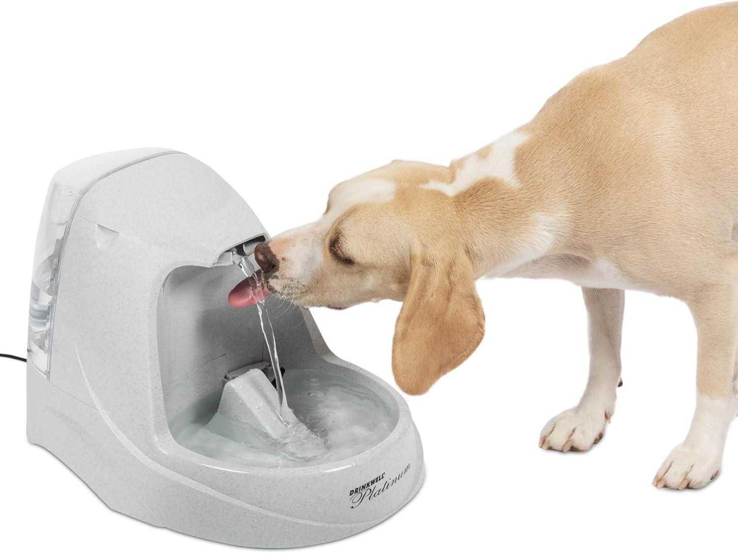 Platinum Grey 168 oz Pet Water Fountain with Carbon Filter