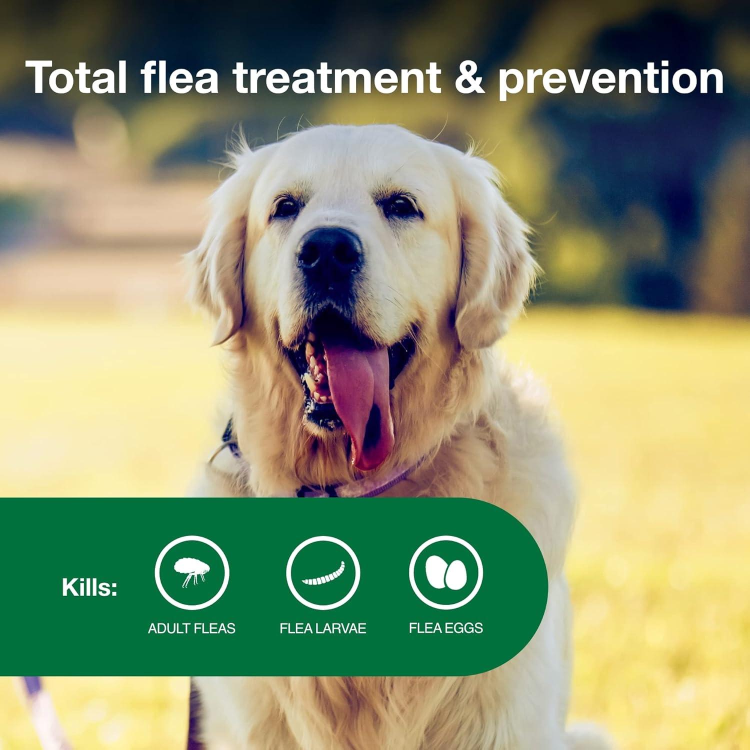 Advantage II Vet-Recommended Flea Prevention for Large Dogs 21-55 lbs, 4-Monthly Treatments