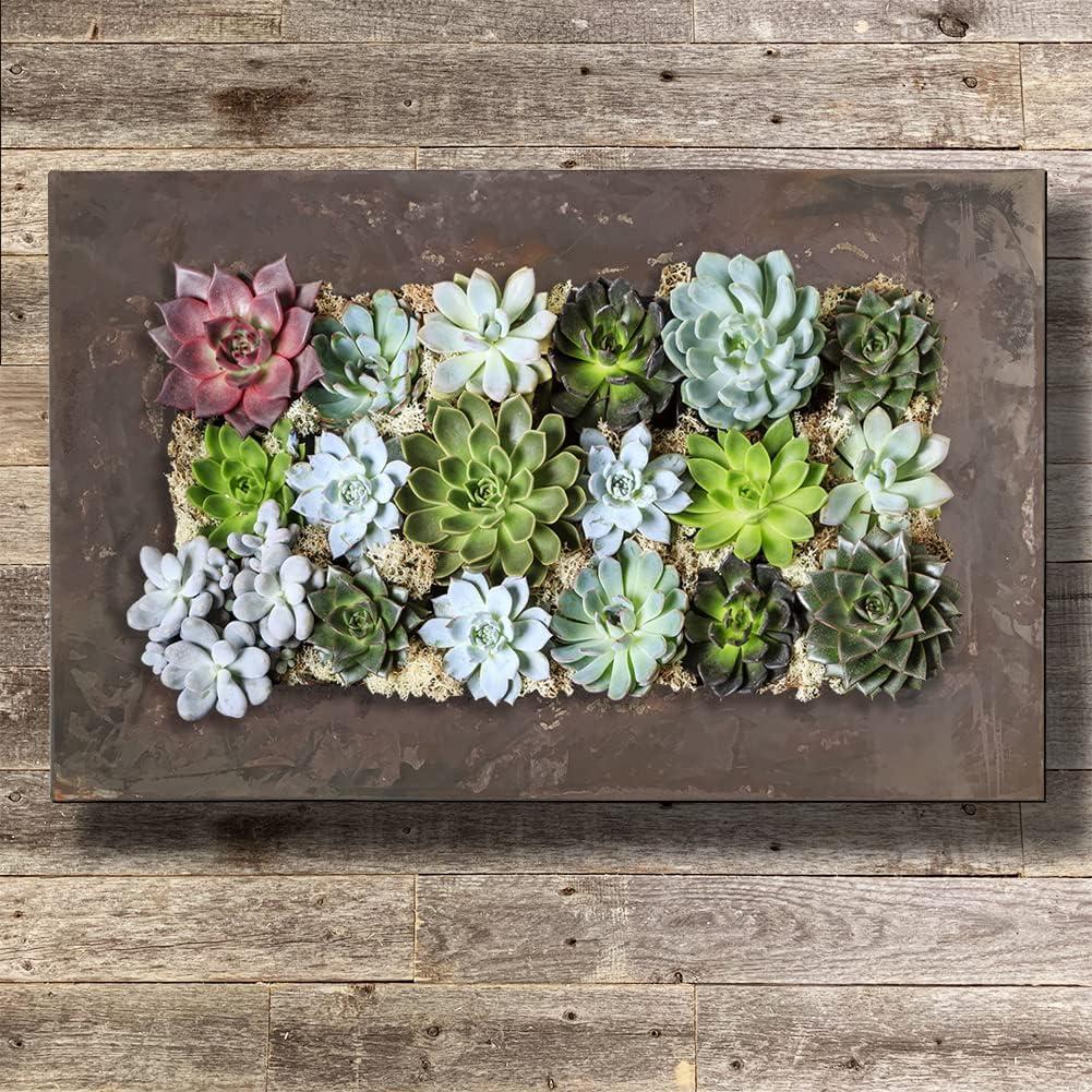 Modern Home Living Wall Galvanized Steel/Zinc Succulent Planter