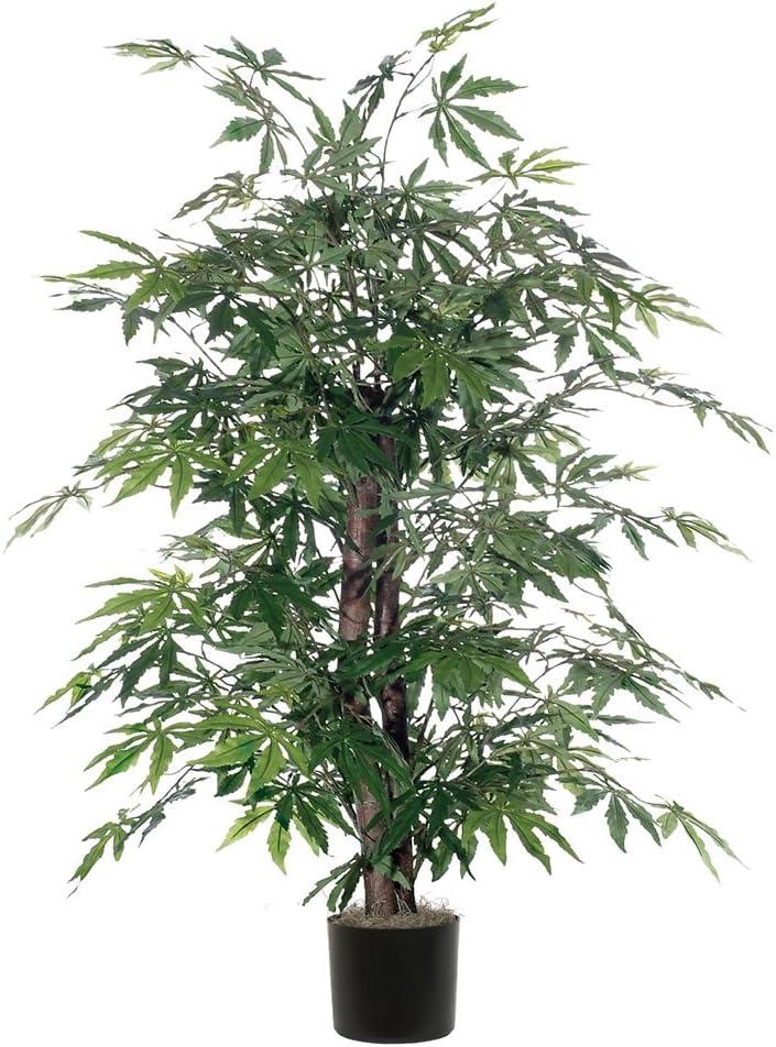 59" Outdoor Silk Japanese Maple Bush in Black Plastic Pot