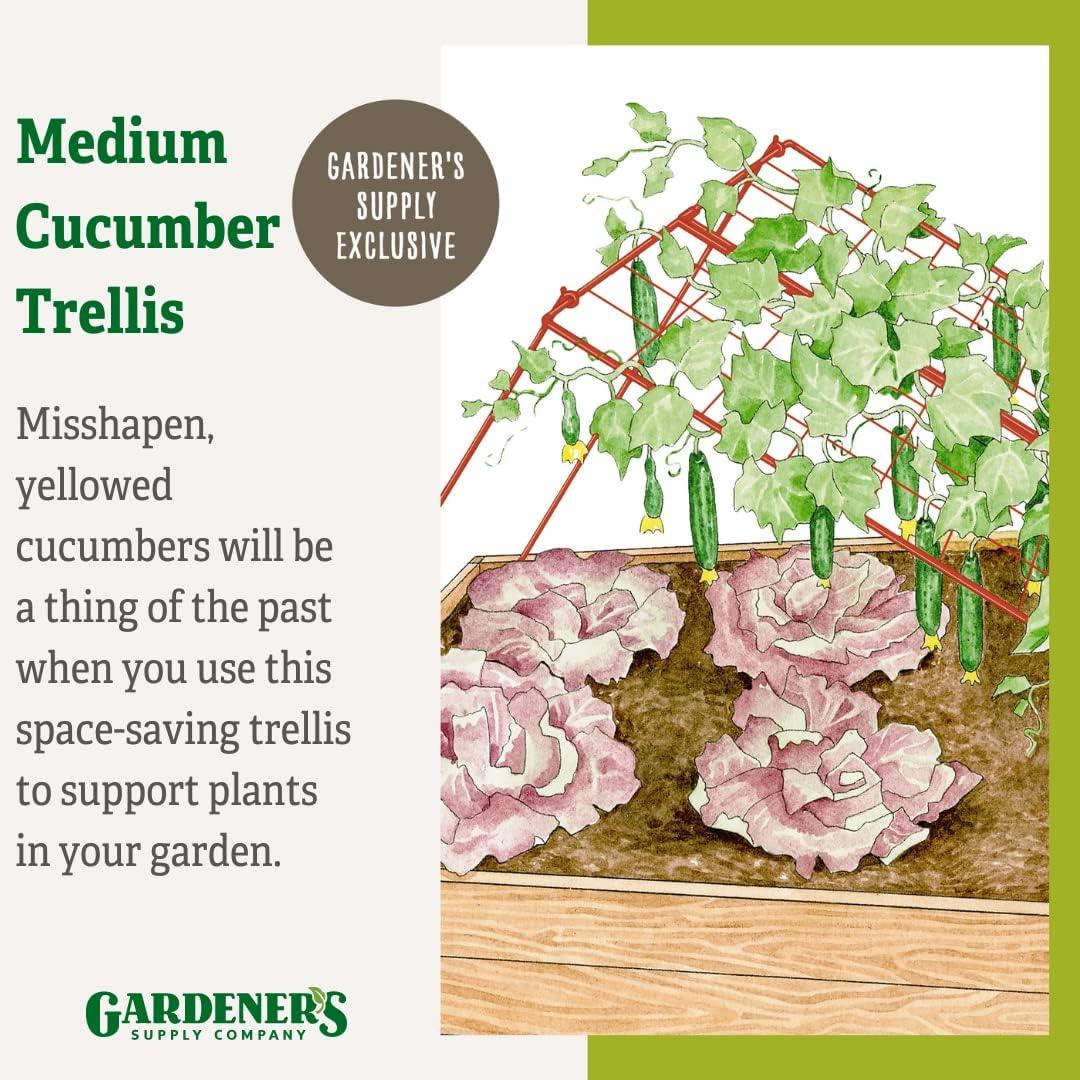 Gardener's Supply Company Cucumber Trellis | Garden Bed Support for Cucumbers & Climbing Plants | Outdoor Plant Support w/ 4" Grids for Easy Harvesting | 32" x 48" - Medium (Red)