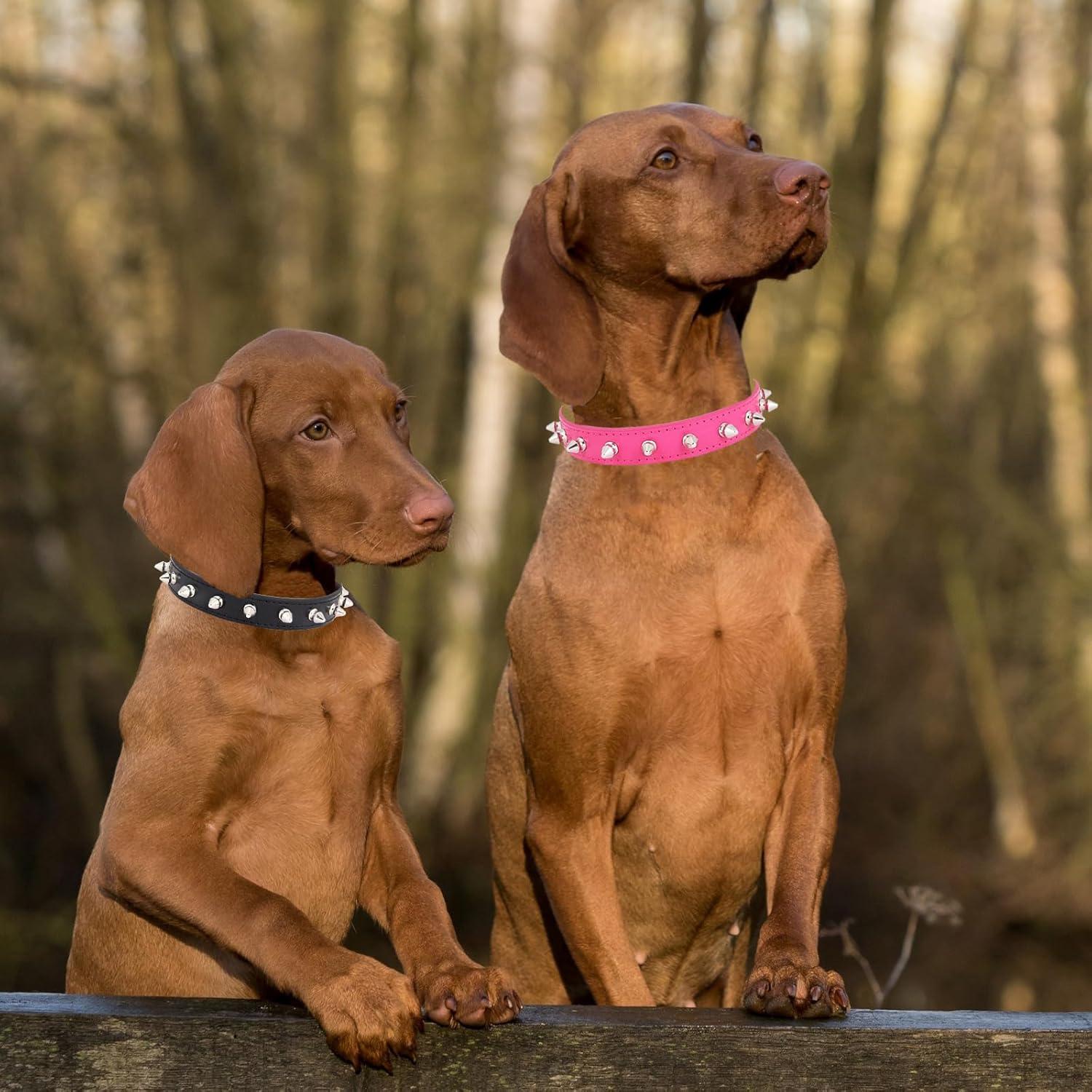 Dog Collar with Spikes,Rivet Dog Collar, Leather Spiked Studded Dog Pet Collars for Small Medium Large Dogs (L: for Neck Girth: 13 2/5-18 in, Black)
