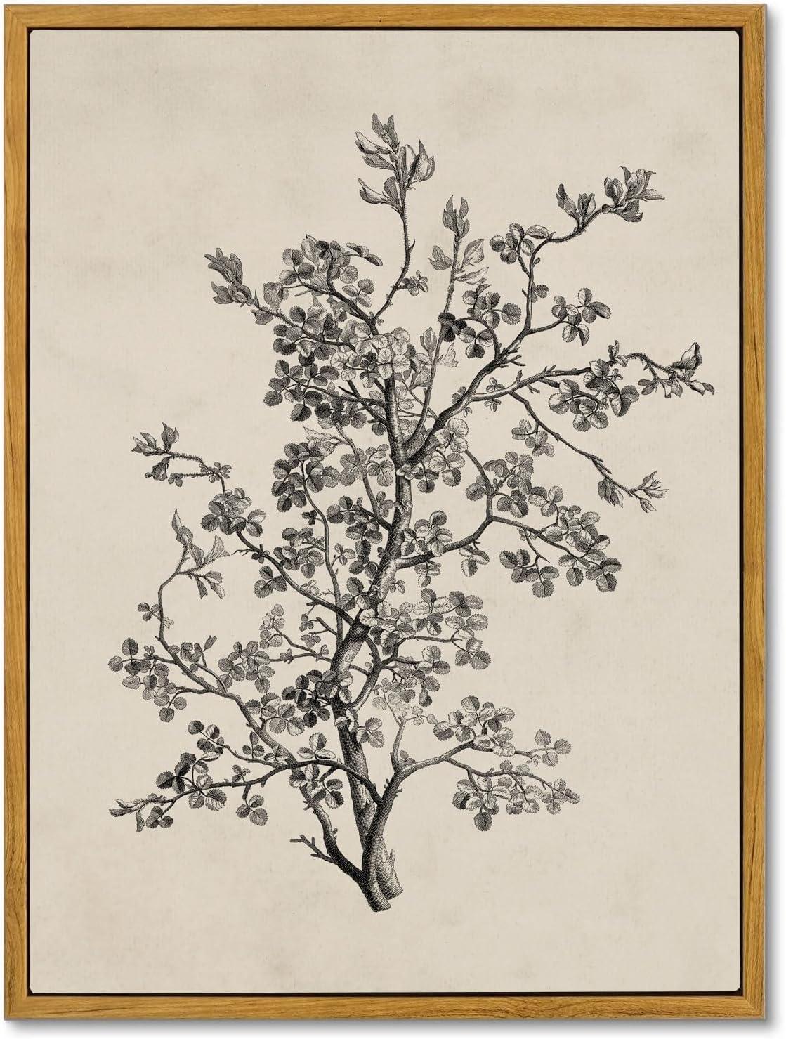 Vintage Botanical Wall Art Prints - Black and White Sketch Art Decor - Antique Pictures and Rustic Paintings for Living Room Bedroom - 12"x16" Unframed