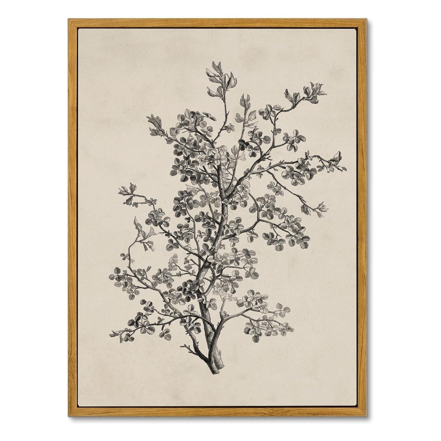 Vintage Botanical Wall Art Prints - Black and White Sketch Art Decor - Antique Pictures and Rustic Paintings for Living Room Bedroom - 12"x16" Unframed