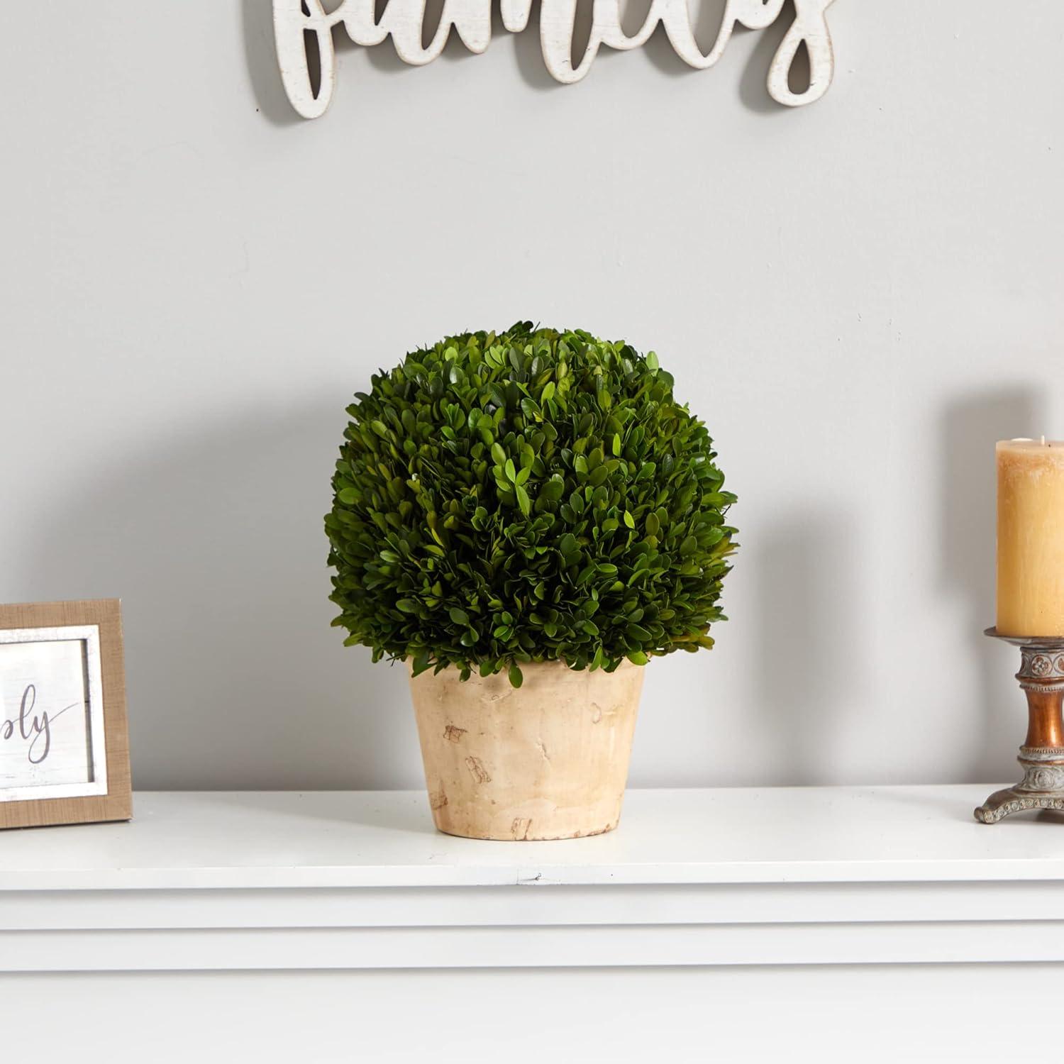 Nearly Natural 15-in Boxwood Ball Preserved Plant in Planter