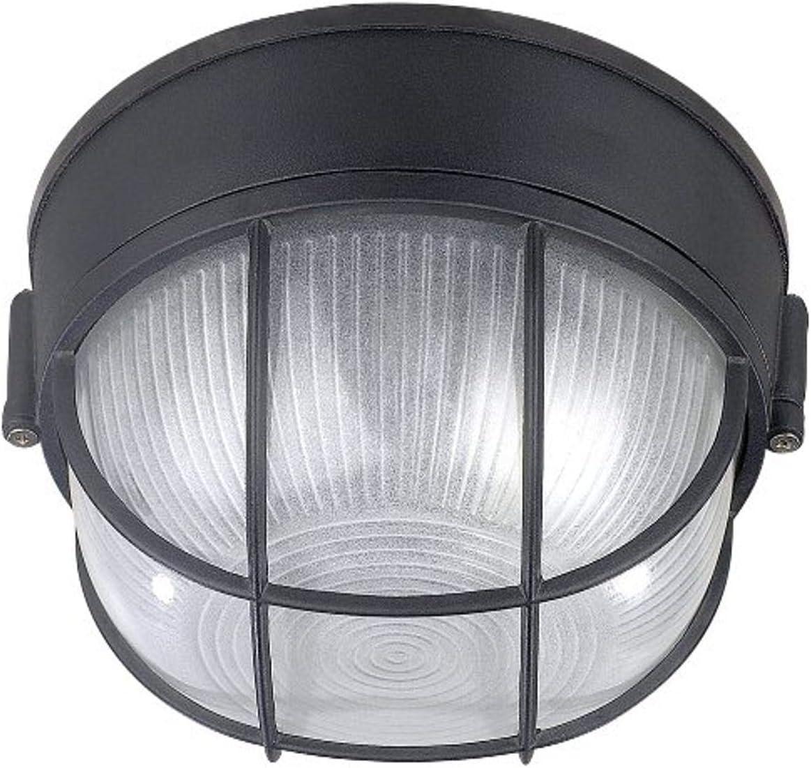 Canarm IOL17BK The Outdoor 1-Bulb Flush Mount Exterior Light with Frosted Glass Globe, Black