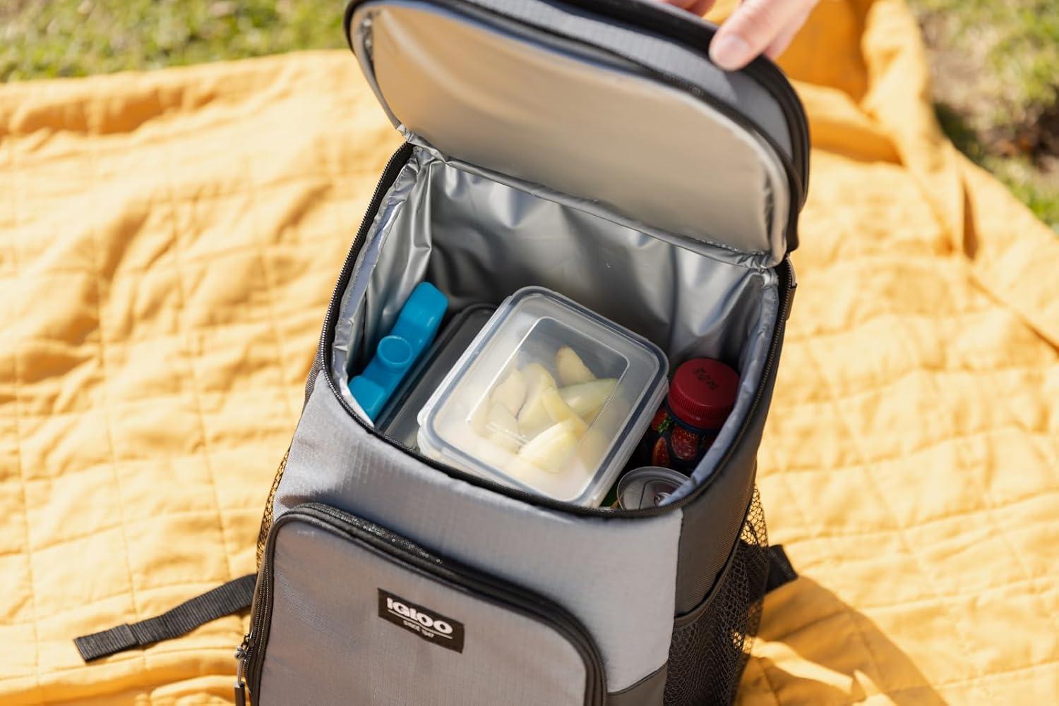 Igloo 25199 Maxcold Ice Block, Medium - Quantity 12