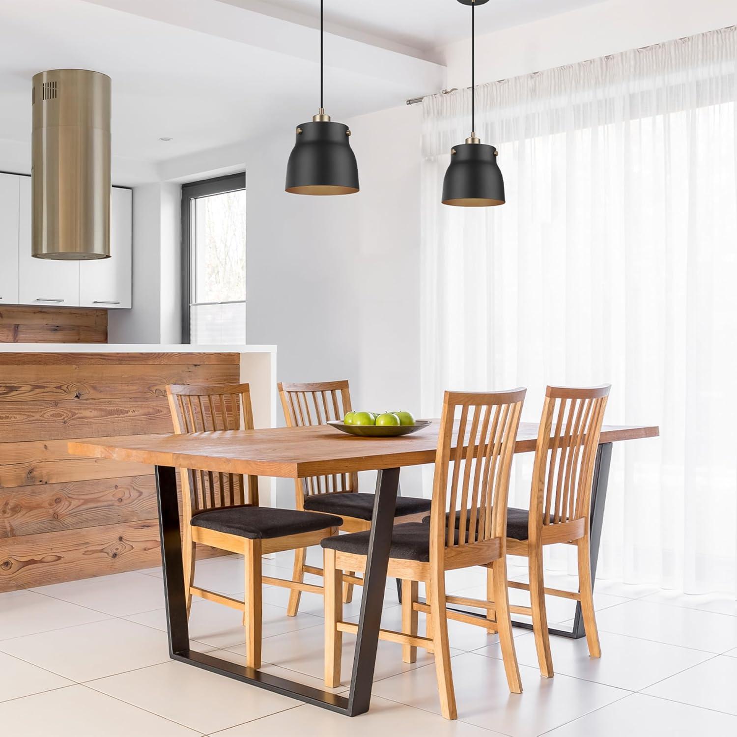 Matte Black Mini Pendant Light with Brass Accents