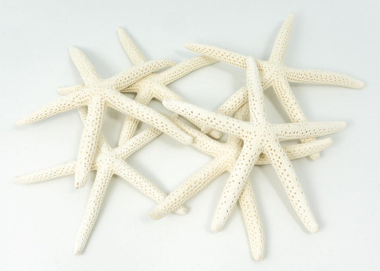 Starfish | 6 White Finger Starfish 3"-4" | Home Decor Art & Crafts