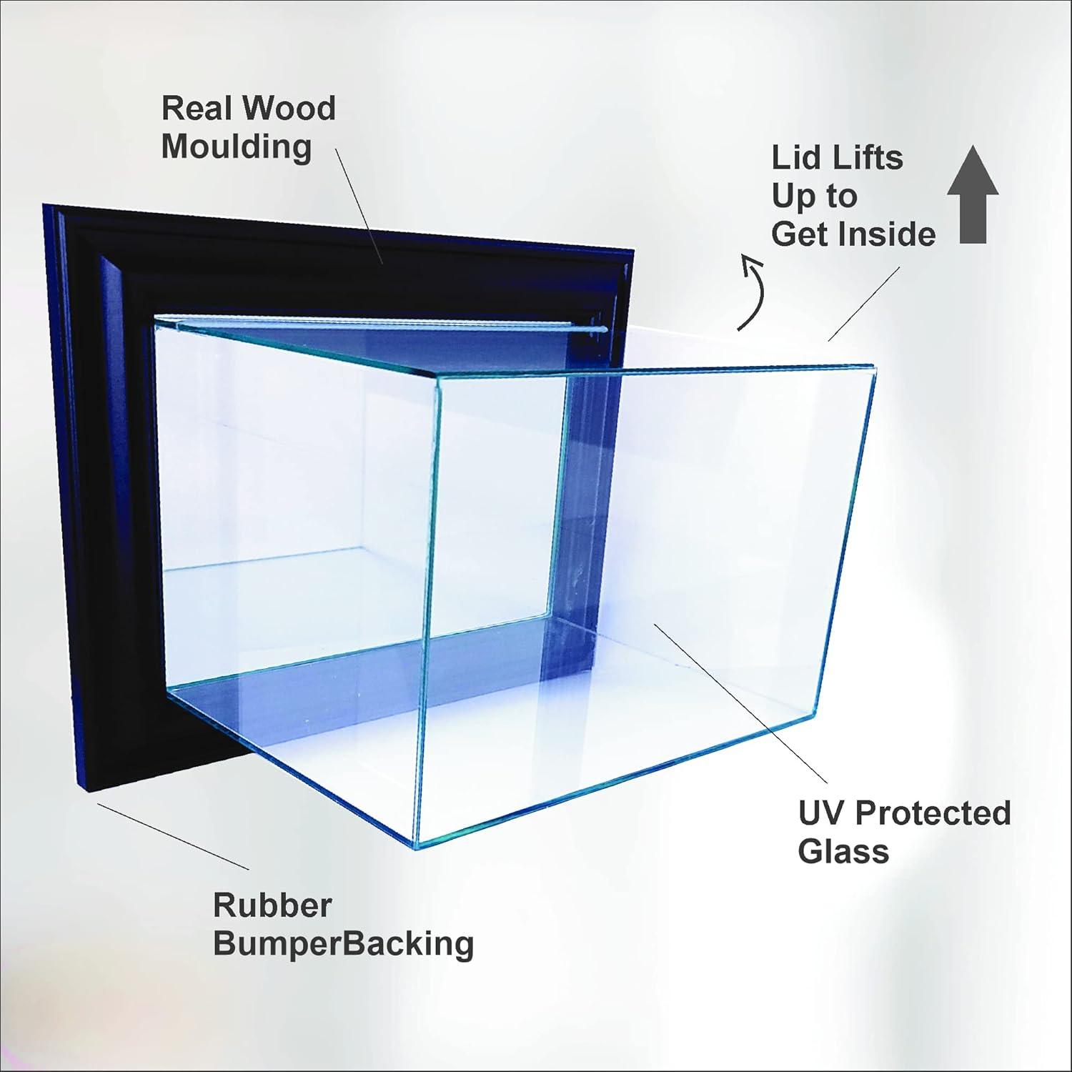 Perfect Cases and Frames Perfect Cases And Frames 8'' W 5'' D Baseball Glass Ball / Puck Case