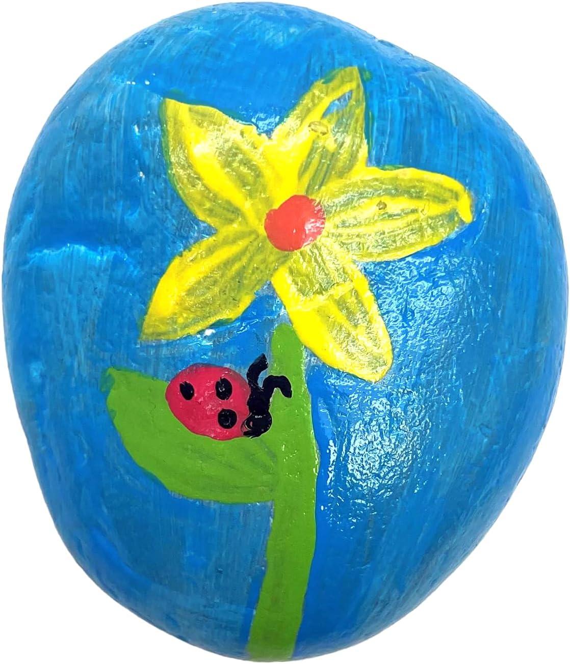 Hide & Seek Rock Painting Kit - Creativity for Kids: Paints, Stickers, Rocks, Brush, Craft Activity for Ages 6+