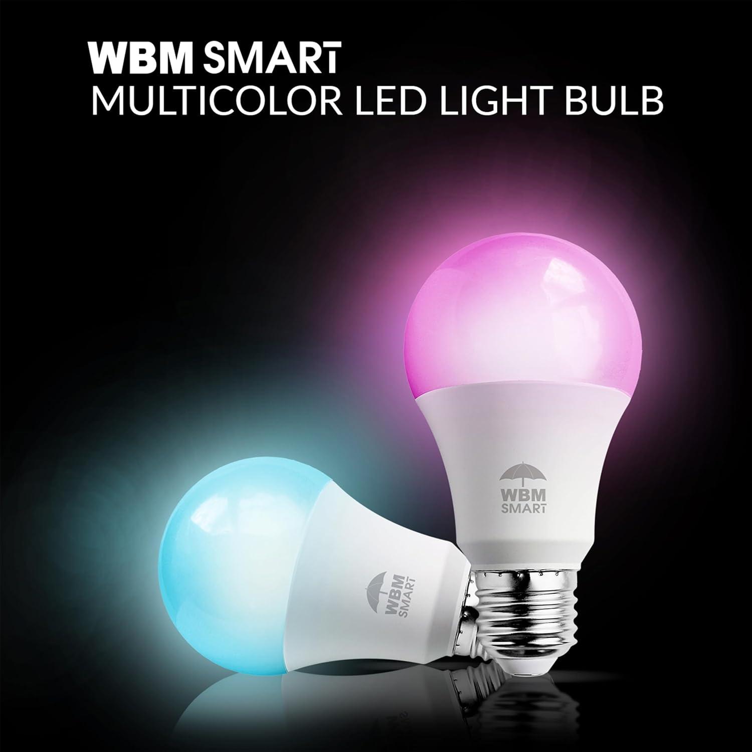 WBM LLC 1651B-4PK-01 Himalayan Glow 40 Watt Equivalent E26/Medium (Standard) Light Bulb (Set of 4)