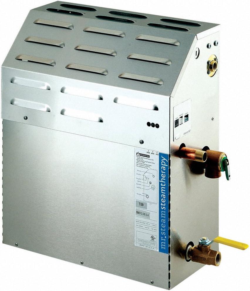 E Tempo 10 Steam Generator