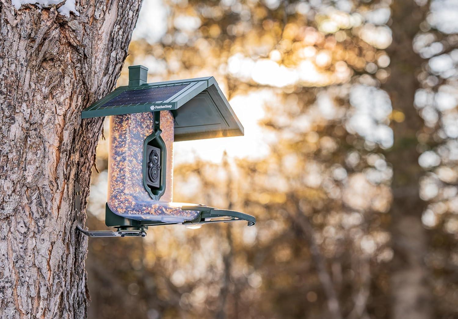 Feathersnap Scout WiFi Solar-Powered Smart Bird Feeder