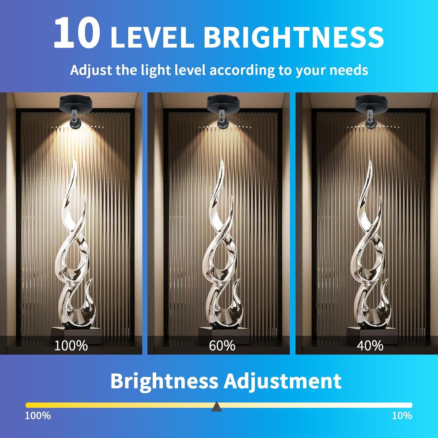 LED Spot Light Indoor, Battery Operated Led Light Stick Up Lights with Remote, Mini Spotlight Dimmable Accent Lights for Lighting up Paintings Pictures(RGB 2 Pack)
