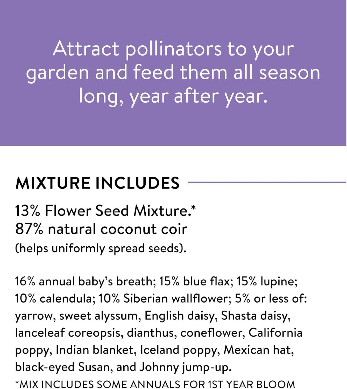 Burpee Perennial Wildflower Seeds Mix – Non-GMO, Attracts Pollinators, Perennial Flowers, 50,000 Seeds, 1 Bag