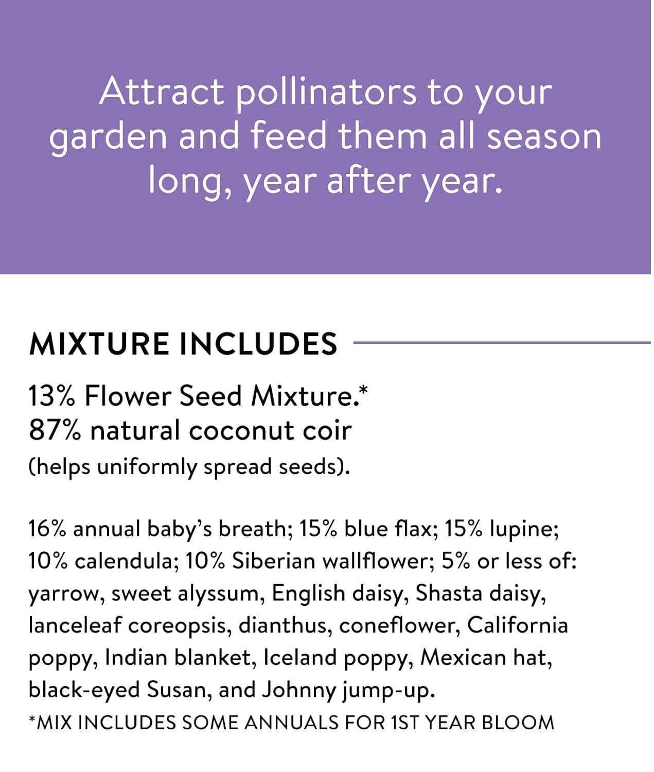 Burpee Perennial Wildflower Seeds Mix – Non-GMO, Attracts Pollinators, Perennial Flowers, 50,000 Seeds, 1 Bag