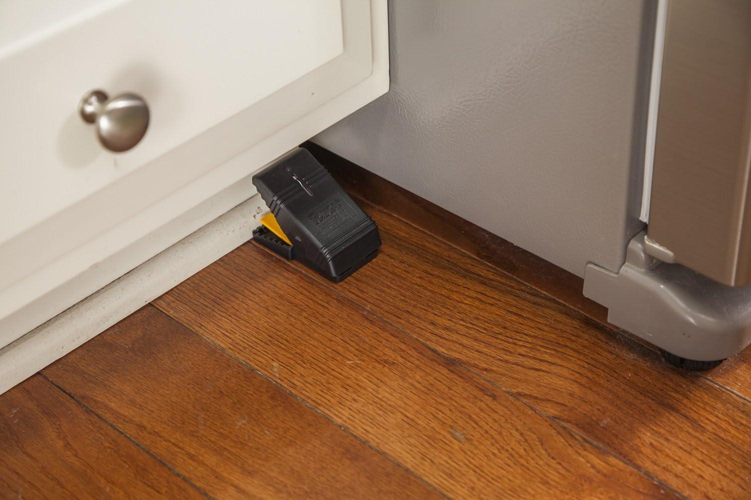 (2 pack) Tomcat Mouse Snap Traps, Contains 2 Traps, No-Touch Disposal, Easy to Set
