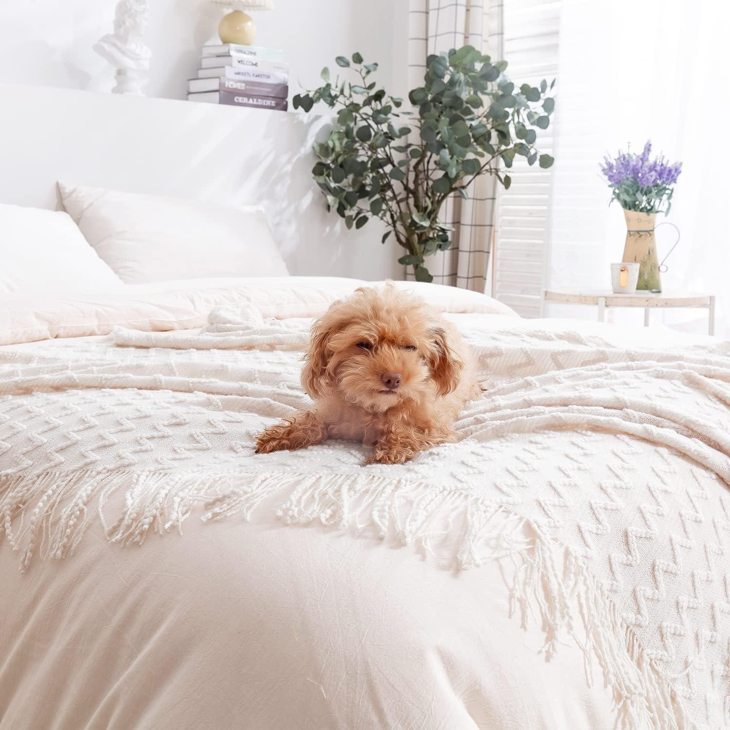 White Knitted Acrylic Throw Blanket with Fringe, 50" x 60"