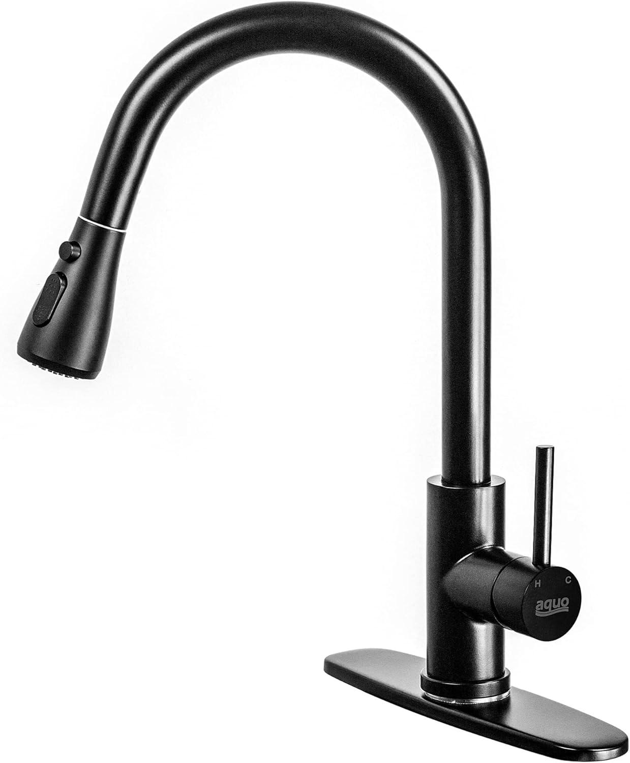 Matte Black Brass High Arc Pull-Out Kitchen Faucet