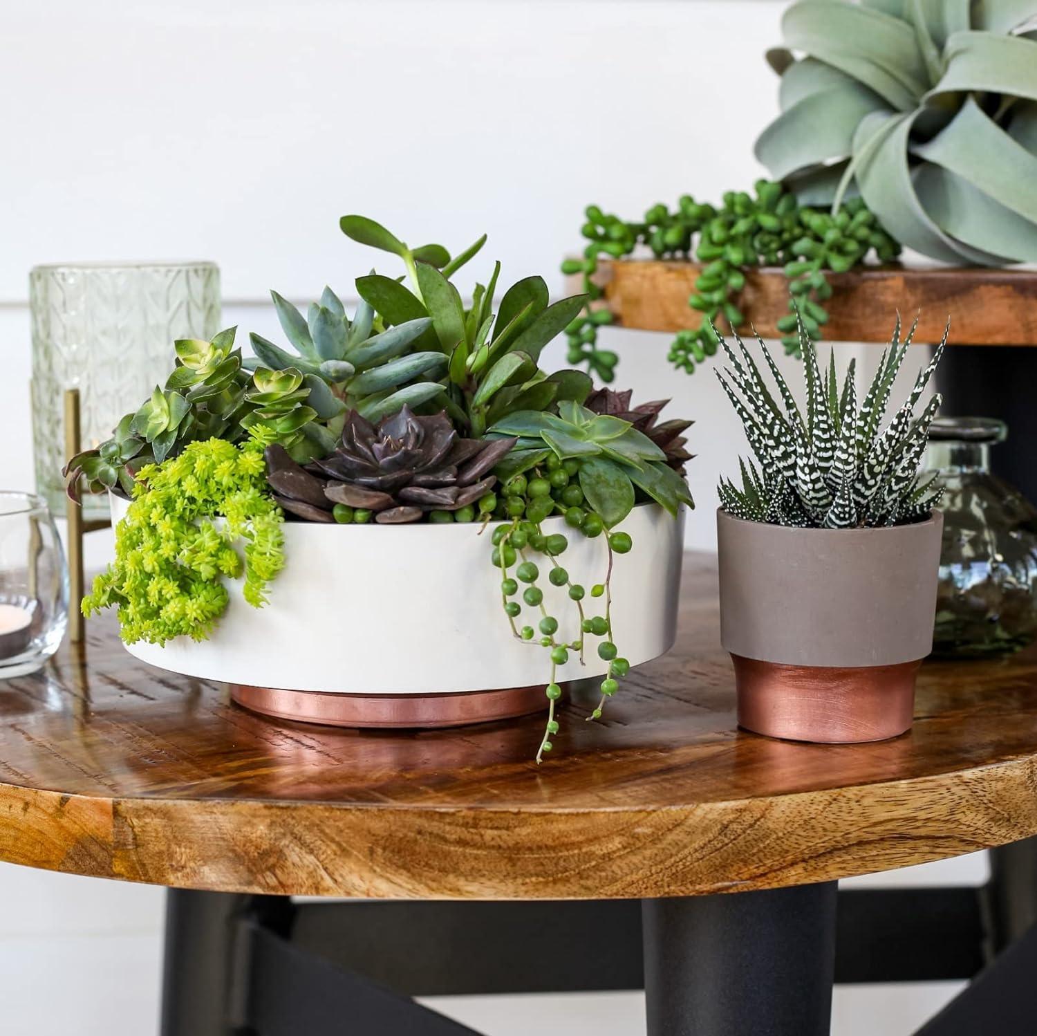 8-Inch Round Gray Faux Concrete Succulent Planter Pot