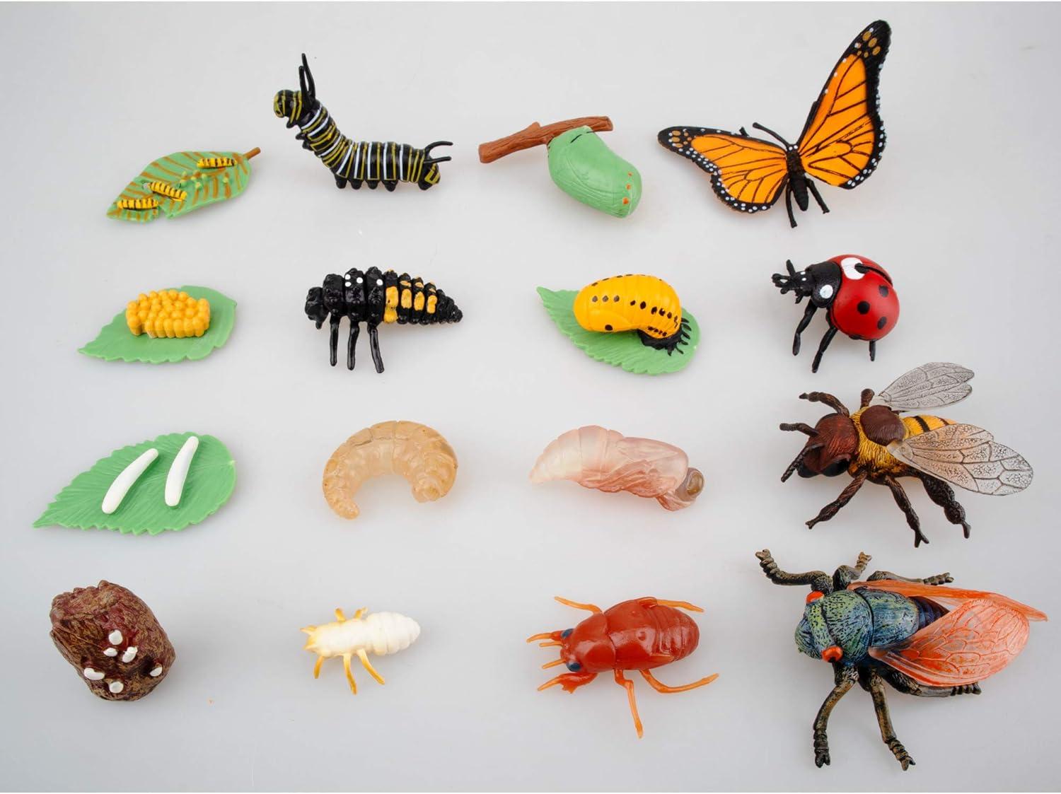 Toymany 16PCS Life Cycle of Goose White Swan Chicken Duck Farm Animals Figures, Plastic Safariology Growth Cycle Eggs Figurines Toy Kit School Project Cake Topper for Kids Toddlers