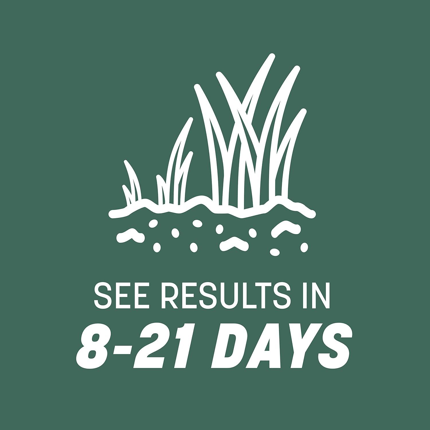 Pennington Kentucky 31 Tall Fescue Grass Sun or Shade Grass Seed 7 lb