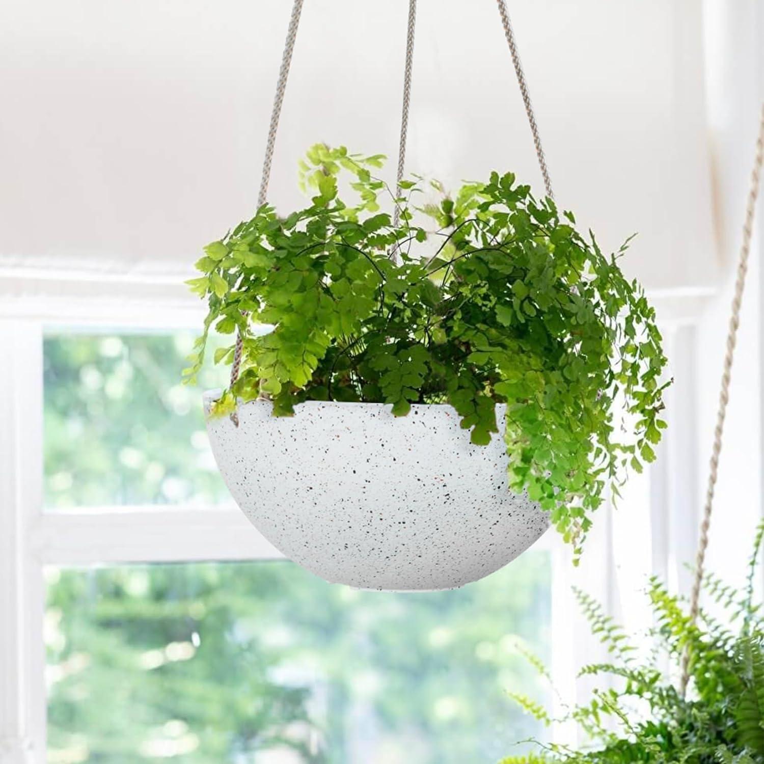 Boxdale Hanging Planter - Set of 2