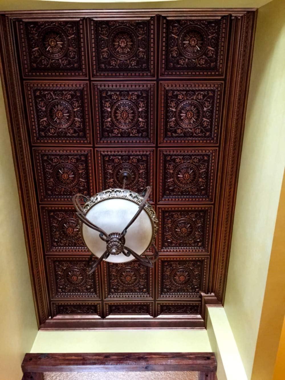 FromPlainToBeautifulInHours Rhine Valley 2 Ft. X 2 Ft. Drop-In PVC Ceiling Tile (Set of 25)