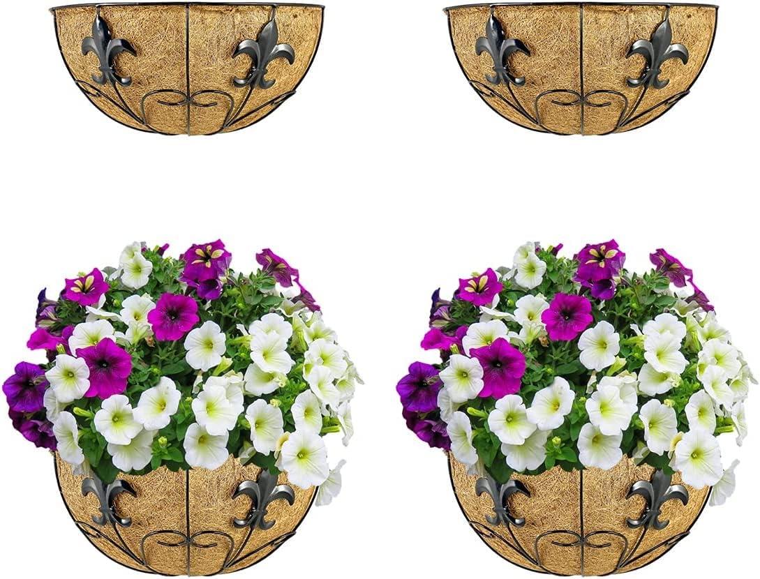 Ashman Wall/Rail Metal Plant Basket, Black, 2 Pack – Hanging Flower Planters for Fences & Walls