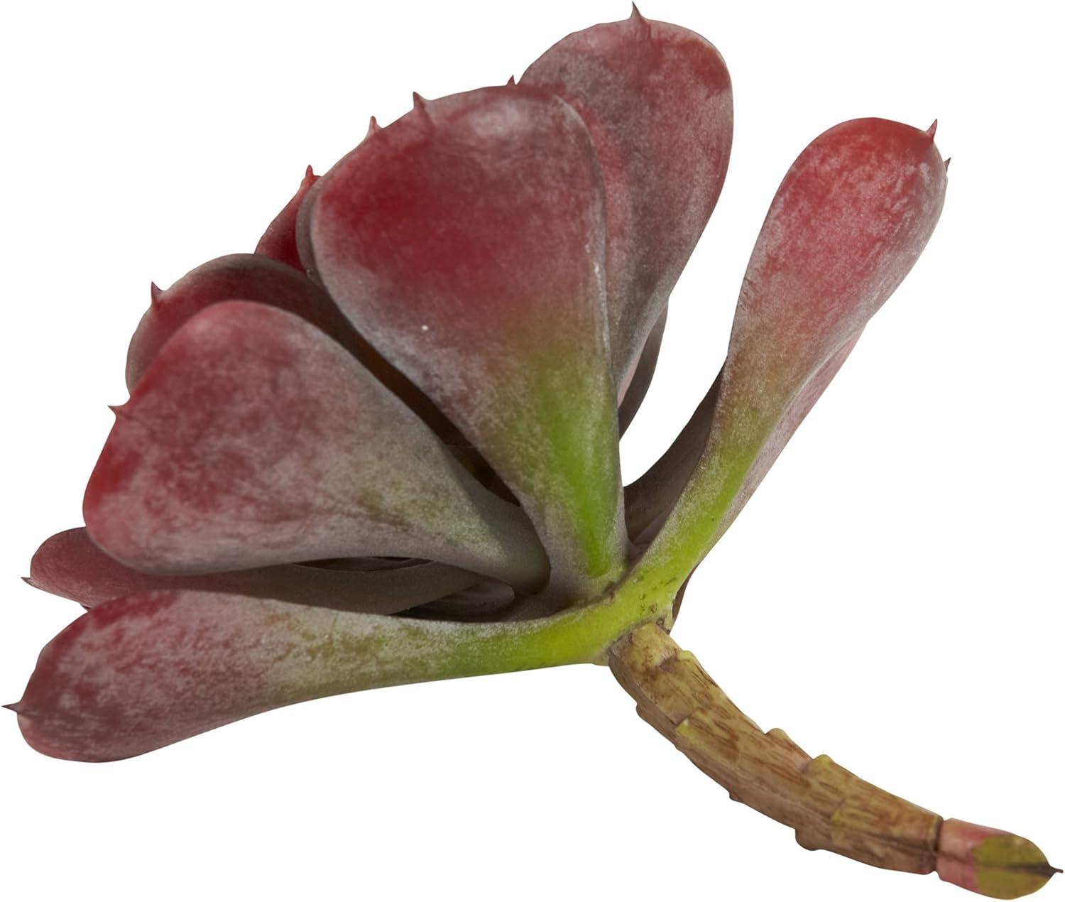 Nearly Natural 6 Echeveria Succulent - Set of 12 Burgundy