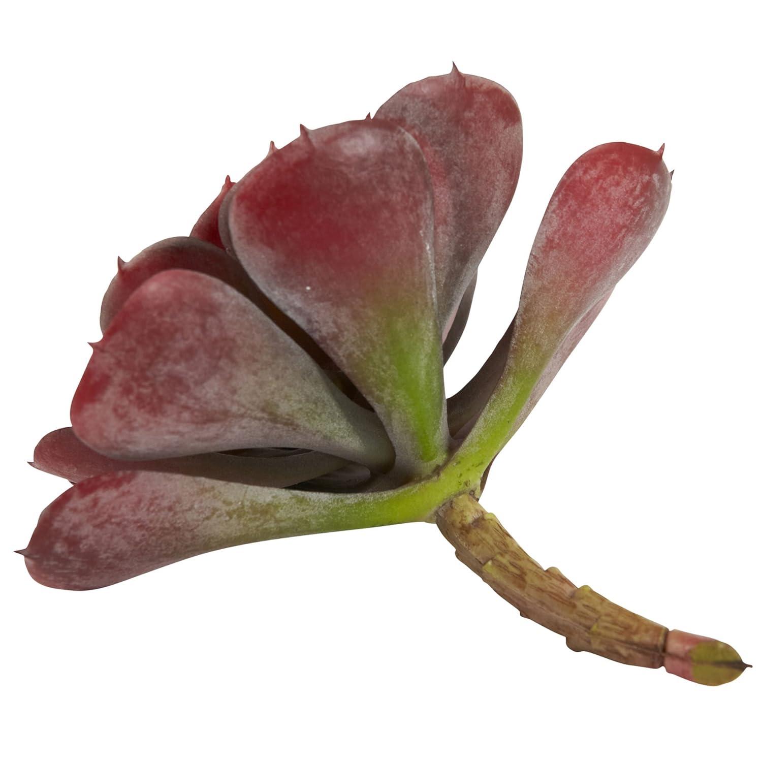 Nearly Natural 6" Plastic/Polyester Echeveria Succulent Artificial Plant (Set of 12), Red