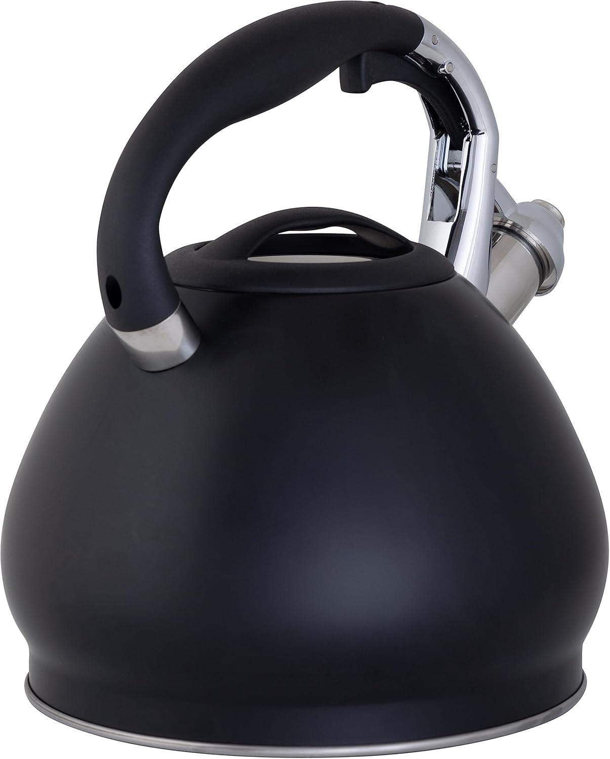 Depot Esh 10 Cup Stainless Steel Tea Kettle in Black