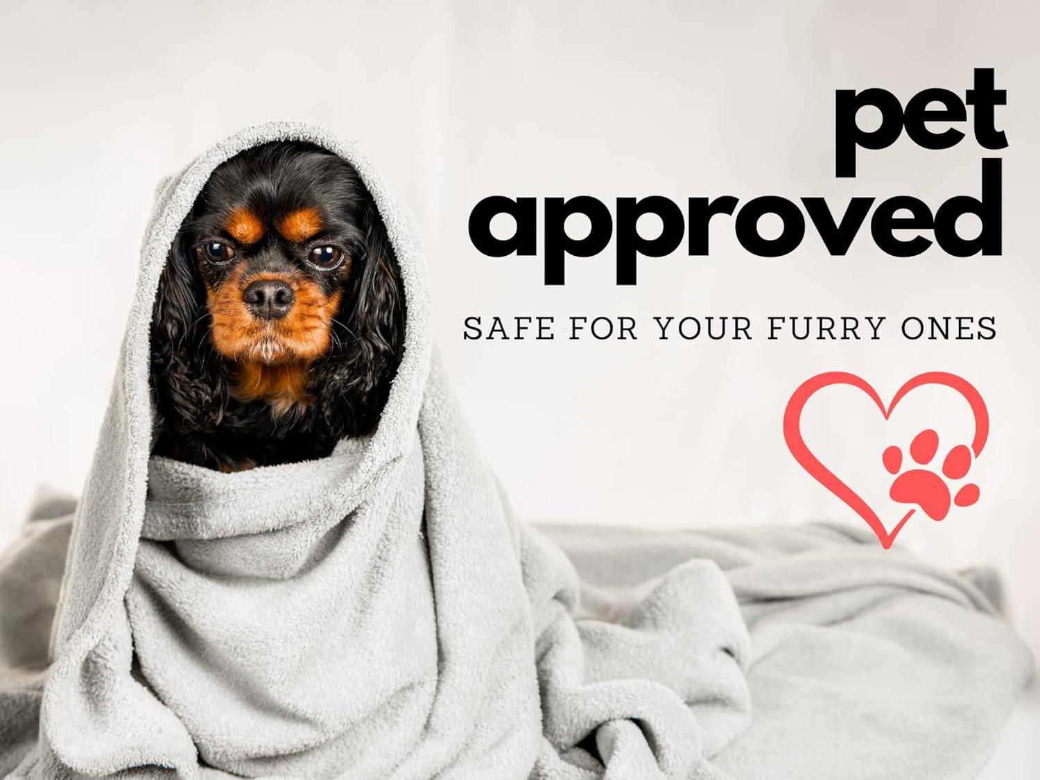 Swift Home Softheat Polyester Microfleece Low-Voltage Heated Electric Blanket