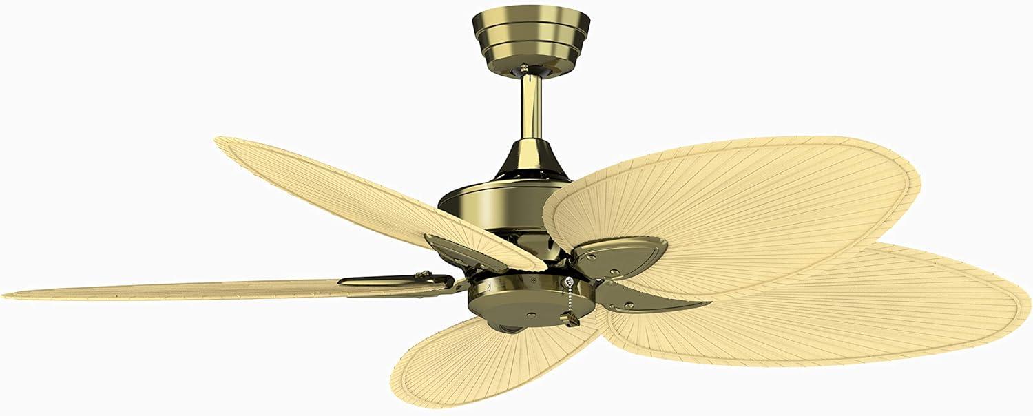 Windpointe 52'' Ceiling Fan