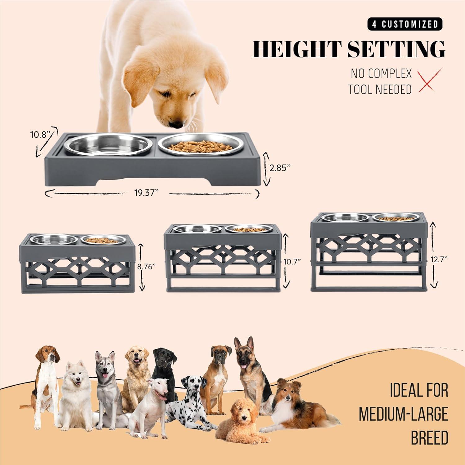 Adjustable Elevated Dog Bowl Stand with Stainless Steel Bowls