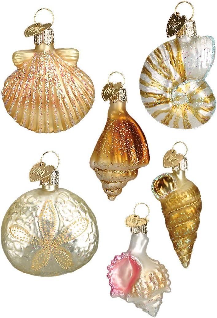 Old World Christmas Assorted Sea Shell Set Glass Blown Ornament