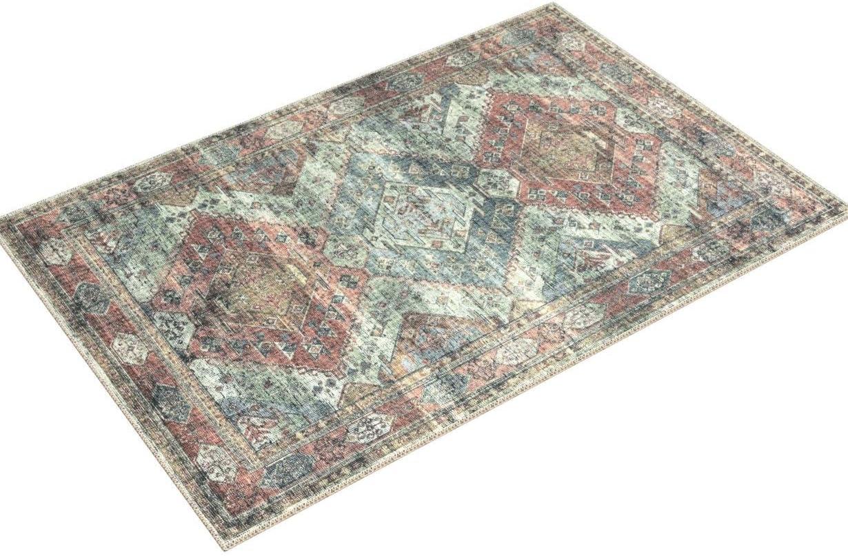 Loloi II Skye Oriental Apricot / Mist Area Rug