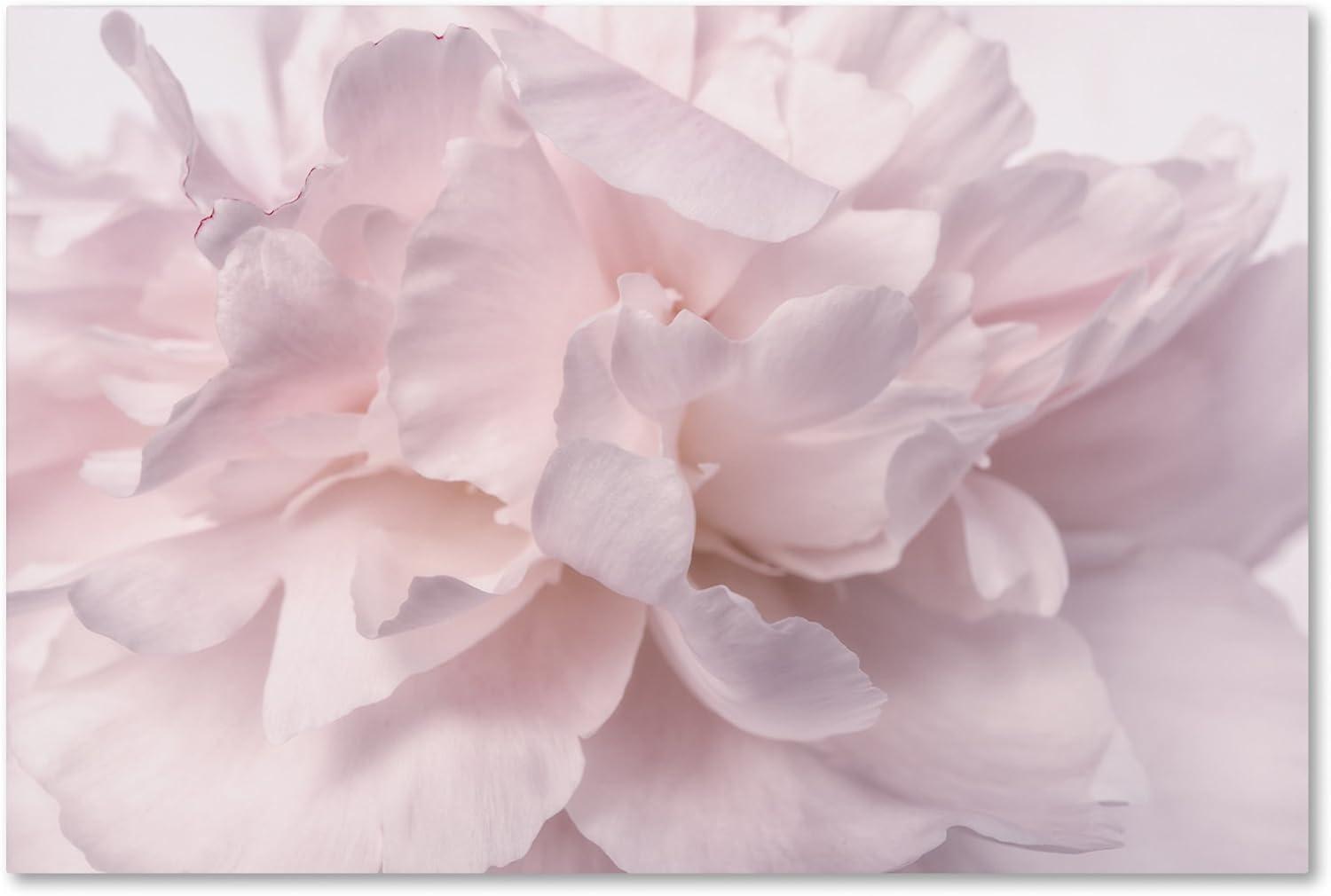 House of Hampton® " Pink Peony Petals II " by Cora Niele