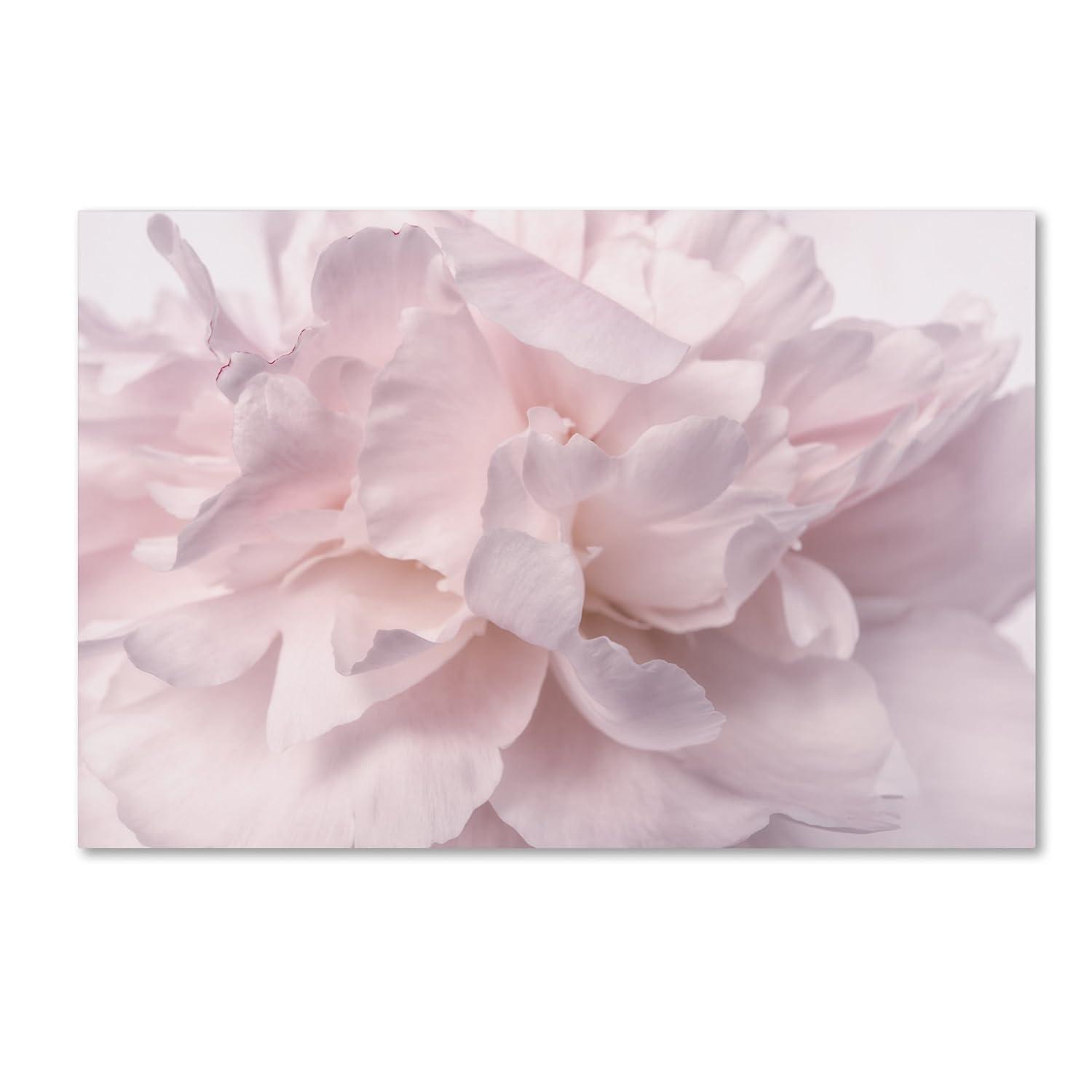 House of Hampton® " Pink Peony Petals II " by Cora Niele