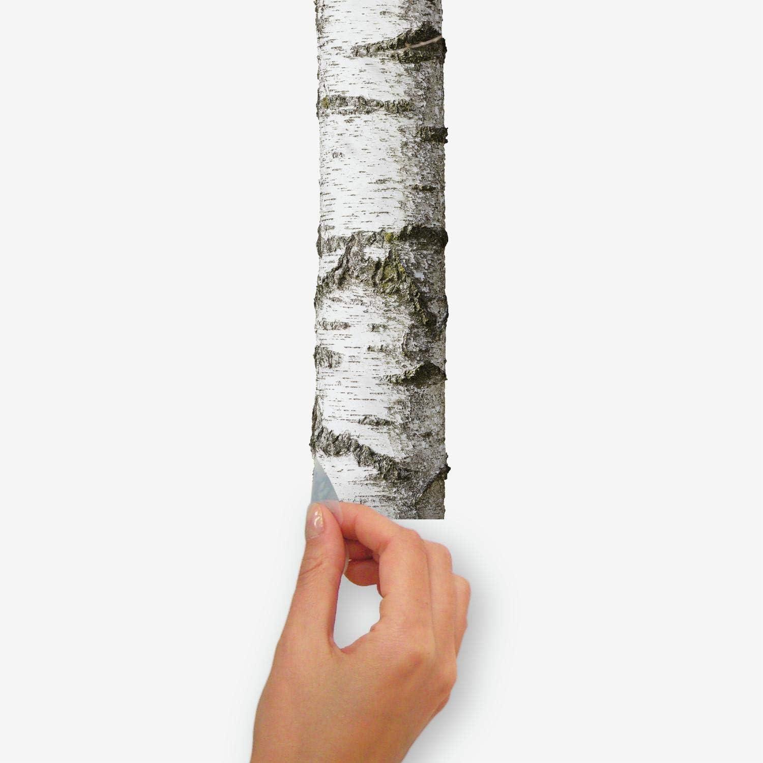 15" x 86" Realistic Birch Trees Peel and Stick Giant Wall Decal - RoomMates: Vinyl, Modern Decor, Peelable