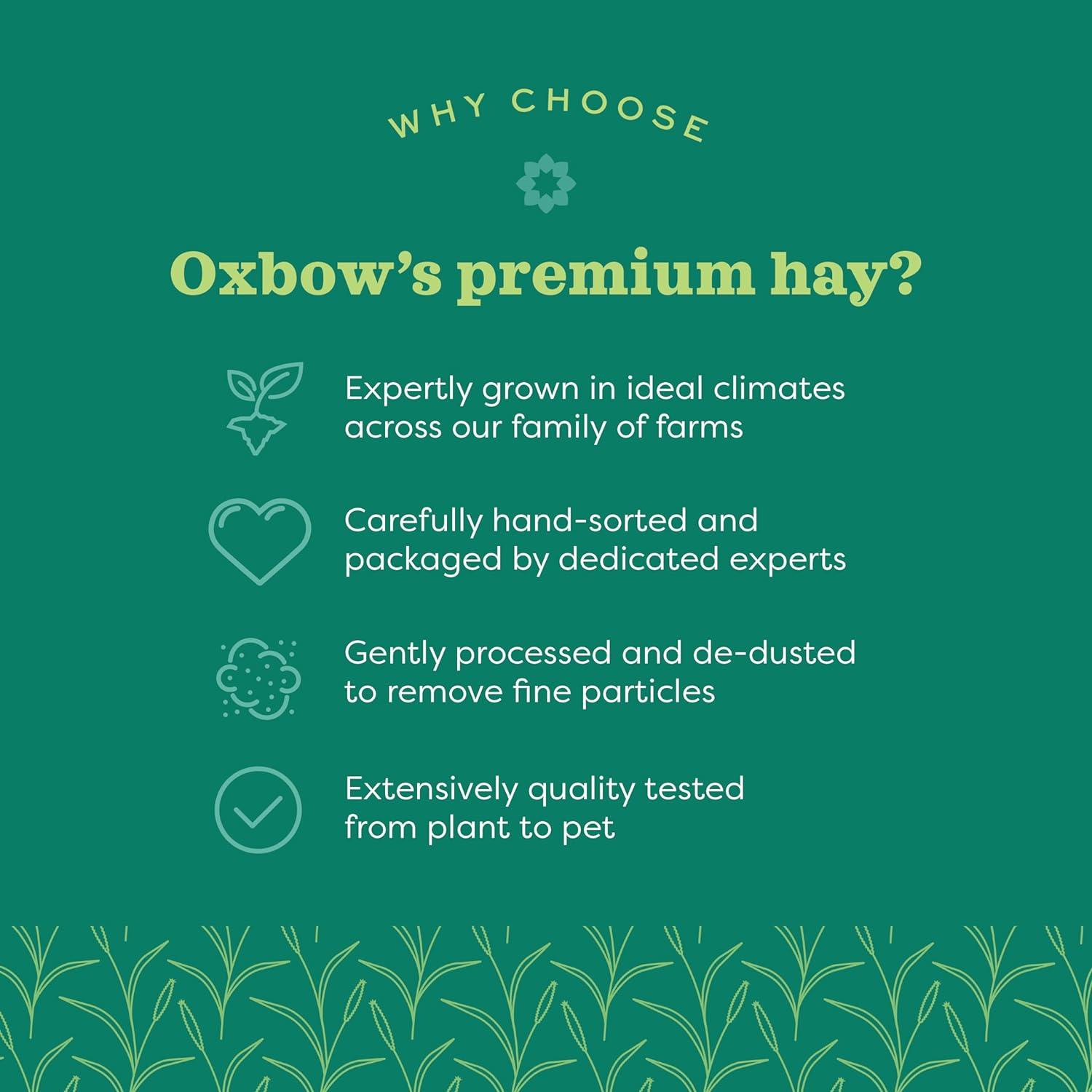 Oxbow Animal Health Western Timothy Hay for Pets, 15-Ounce