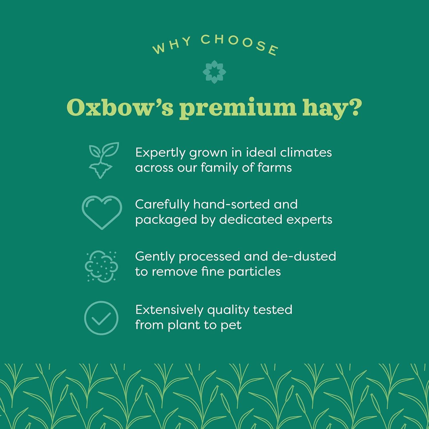 Oxbow Animal Health Western Timothy Hay for Pets, 15-Ounce