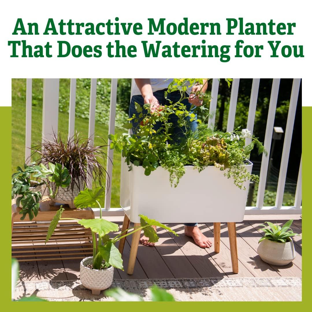 Ava Self-Watering Rectangular Planter - white