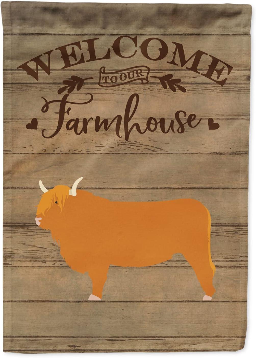 Caroline's Treasures Double Sided 40'' H x 28'' W Polyester House Flag
